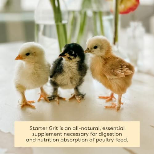 Scratch and Peck Feeds | Starter Grit for Chickens & Ducks | 7 lb Pouch | Essential Supplement for Healthy Digestion and Gizzard Health, All Natural, Sustainably Sourced - style: Chick Grit - 7-lbs