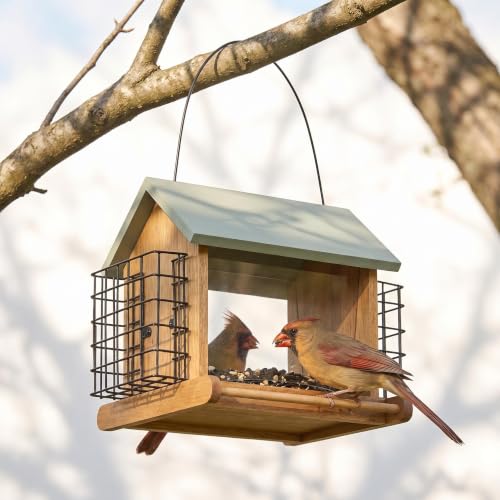 Wood Hopper Bird Feeder with Double Suet Cage, 10 lb Large Capacity Hanging Wild Bird Feeder for Outdoor, Garden Bird Feeder with Weatherproof Roof