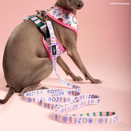 Lucy & Co. Dolce Vita Dog Leash, Durable Matching Dog Lead with Heavy Duty Hardware, Small - color: Dolce Vita, size: Small