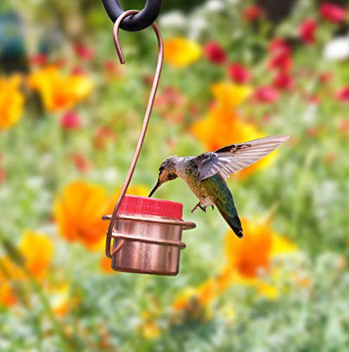 Monarch Abode Hanging Hummingbird Feeders for Outdoors – Pure Copper Handcrafted Single Hanging Hummingbird Feeder, Decorative Humming Bird Feeders for Outdoors Garden Patio Deck, Pack of 2 - style: Single Feeder (2-Pack)