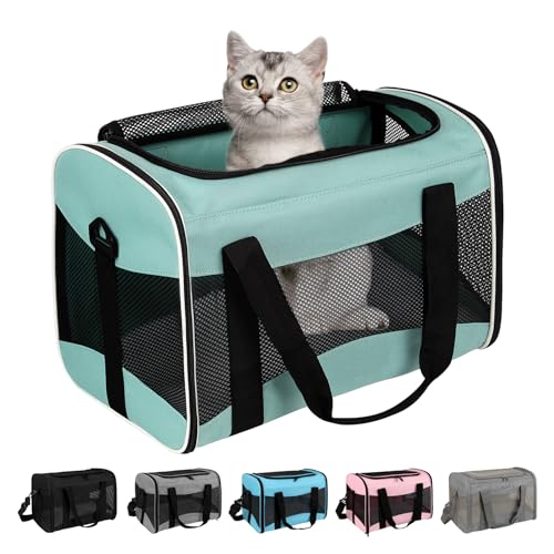 Cat Dog Carriers Soft-Sided Pet Carrier Large Cats for Medium Big Cat Small Dog Puppy up to 16lbs TSA Airline Approved Animal Collapsible Cat Carrier Carriers Travel Carrier Cat Bag (17x11x11) - color: green, size: 17.0"L x 11.0"W x 11.0"H