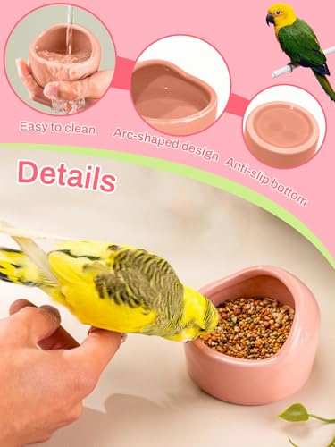 2 Pcs Bird Food Bowl Small Ceramic Bowls for Birds Parakeet Food Bowl Parrot Feeding Cups, Bird Cage Feeder with 2 Plastic Feeding Clips for Parakeets Conure Cockatiels Lovebird Budgie (Pink) - color: Pink