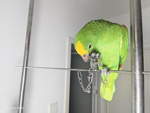 Fosrion Stainless Steel Parrot Chew Toy with Bell, 10.6" Durable Metal Bird Toy for Macaws, Cockatiels, Budgies - Cage Hanging Chew Chain (Coiled Chain with Single Bell) - color: Coiled Chain with Single Bell