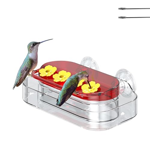Window Hummingbird Feeder for Outdoors, 4 Bee-Proof Feeding Ports, Leak-Proof 10 oz Nectar Reservoir, Built-in Ant Moat, Strong Suction Cups for Up-Close Bird Watching, Easy to Clean - style: F061 (1-Pack)