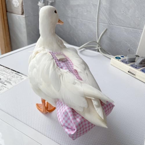 Duck Diapers, Chicken Diapers, Special Diapers for Poultry, Chicken, Duck and Goose Waterproof, Adjustable, Washable and Reusable Diapers，Poultry Supplies, Duck Supplies (0.99LB-1.32LB)