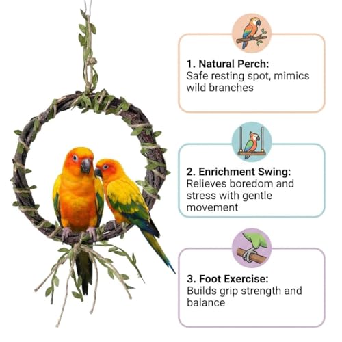 2-Pack Bird Woven Vine Swing Toys, Parrot Standing Climbing Perch,Bird Cage Toys for Budgerigar, Parakeet, Conure, Cockatiel, Mynah, Love Birds, Finches and Other Small to Medium Birds - size: Large