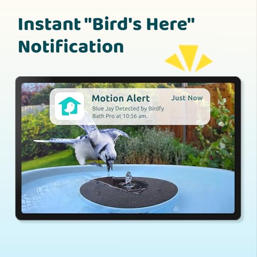 Smart Bird Bath with Camera Solar Powered & Fountain & Stand, Dual-Lens Camera for Wildbird Watching, Auto Capture Bird Videos & Motion Detection - AI by Subscription - style: AI by Subscription