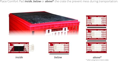 RentACoop Poultry Carrier Crate - 1 Pack - size: Pack of 1, 29.0"L x 22.0"W x 12.0"H