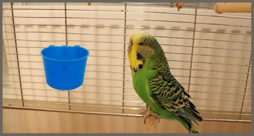 10 Pack Cage Cups Birds Feeders Seed Bowl Chicken Feeding Watering Dish Rabbit Water Food Hanging Wire Cages Box 8oz Coop Cups for Pet Parrot Parakeet Gamefowl Poultry Pigeon - size: 10PCS BLUE