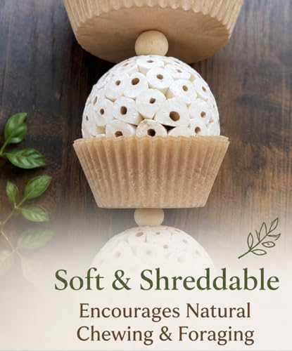 Shred and Destroy Bird Toy for Medium Birds - Conures, Cockatiels - Natural Sola Ball Hanging Chew Toy - 2 Pack - Boredom Buster Cage Toy