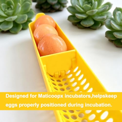 PIAOLGYI Egg Divider Inserts for Maticoopx Incubator,Holder for Vertical Egg Positioning and Stability(10 Pack)