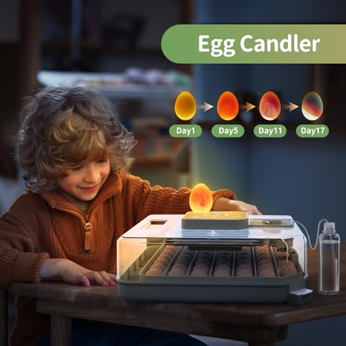 Egg Incubators for Hatching Eggs, Egg Incubator with Automatic Egg Turning and Humidity Control, Quail Eggs Chicken Egg Incubator (48 Eggs)