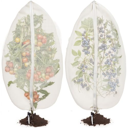 2 Pcs 6x6ft Fruit Tree Covers with Zipper and Drawstring,Nets to Protect Garden Blueberry Bushes from Birds and Insects, Fruit Tree Netting for Vegetable - size: 6 X 6ft
