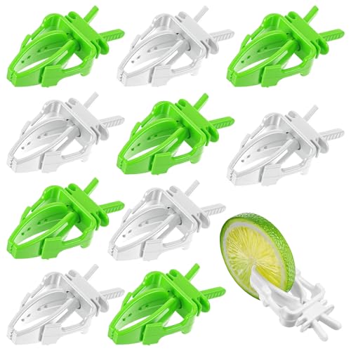 10PCS Bird Cage Food Holder, Plastic Parrot Fruit Vegetable Clips, Millet Holder for Bird Cage Parrot Food Feeder Clip for Budgie Parakeet Cockatoo Macaw Cockatiel Conure-White and Green