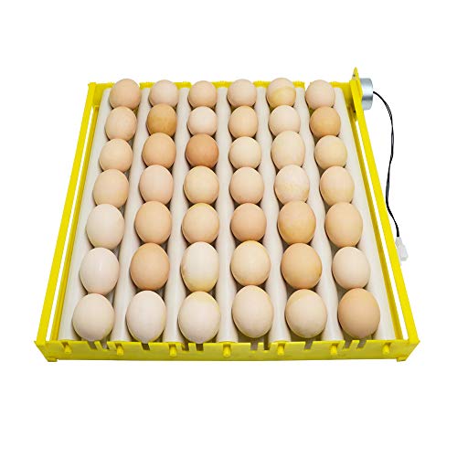 HBtree Automatic Multifunction Incubator Egg Tray Turning Hatcher for Chickens/Ducks/Birds/Poultry（7 Tubes） - color: 7 Tubes