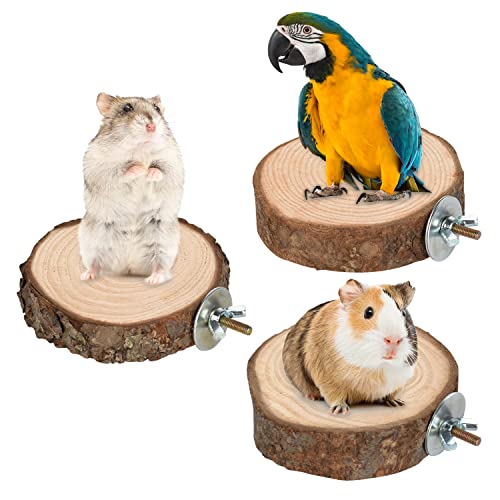 36 PCS Bird Perches Stand Toy, Natural Wood Parrot Perch Stand | Bird Cage Branches Platform Accessories for Parakeets Cockatiels Conures Macaws Finches Love Birds - color: 36Pcs