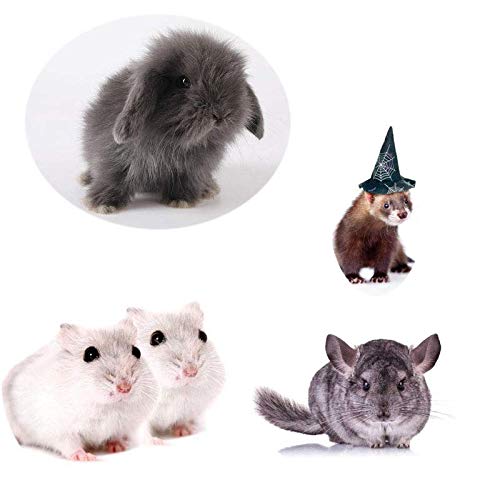 Small Animals Bowl, Detachable Cage Feeder Pet Ceramic Water & Food Feeder, Small Animal Supplies for Rabbit Parrot Squirrels Chinchilla Hamster Ferret (White, M) - size: M
