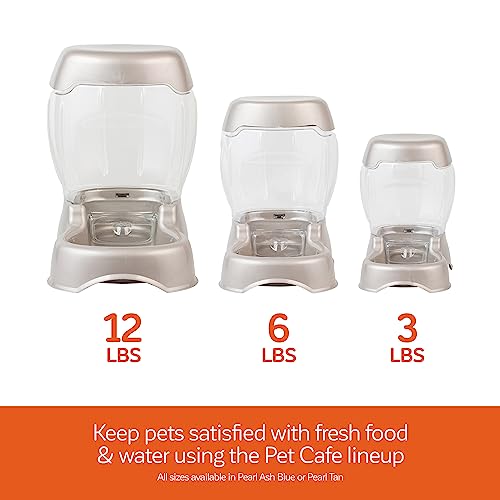 Petmate Pet Cafe Feeder Dog and Cat Feeder Pearlescent Colors 3 Sizes, Made in USA - color: Pearl Silver, size: 3 lb