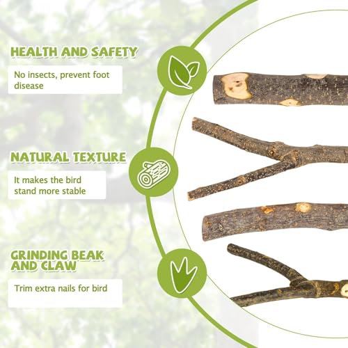 5 Pcs Natural Wood Bird Perch Stand Set for Bird Cages | Ideal for Small/Medium Birds (Budgies, Conures) | Bark Textures for Foot Health | Tool-Free Wing-Nut | Safe Chewing - size: Essential Perch Bundle - 5PCS