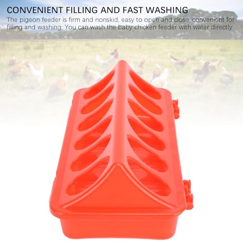 10 Set Flip Top Poultry Feeder, Flip Top Chick Feeder Plastic Quail Small Poultry Feeding Tray 12 Trough Dish Dispenser for Chicken Duck