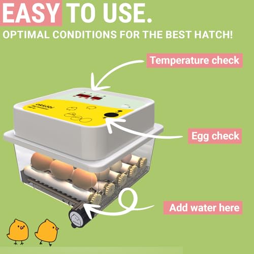 OBI-36 Egg Incubator for Hatching - 36 Eggs - Stable Temperature & Humidity Control with Eggloo Insulation, Candler - Ideal for Families and Farms - Suitable for Chicken, Duck, Quail Eggs - color: Yellow