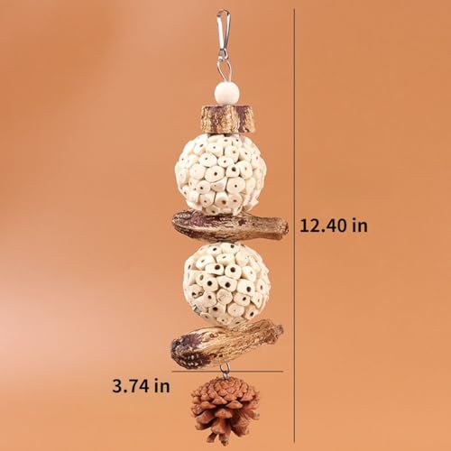 Bird Chew Toy for Pet Bird Parrot Sola Ball Natural Nuts Pinecone Chewing Toy for Small Parakeet Cockatiel Conures Finch Budgie (L) - size: L