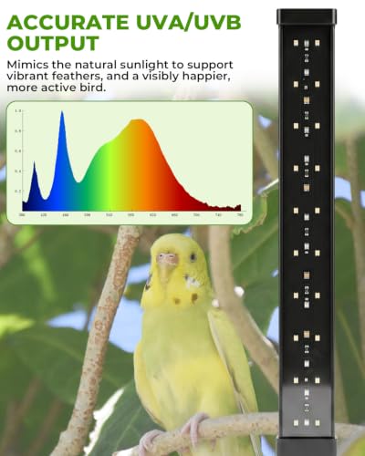 UVB Light for Birds, Full Spectrum LED Bird Cage Light for Parrot | UVB 2.4 Clip Lamp with 24H Cycle Timer for Captive Birds, a Round Platform Included, 3 Lighting Modes