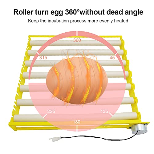 HBtree Automatic Multifunction Incubator Egg Tray Turning Hatcher for Chickens/Ducks/Birds/Poultry（7 Tubes） - color: 7 Tubes