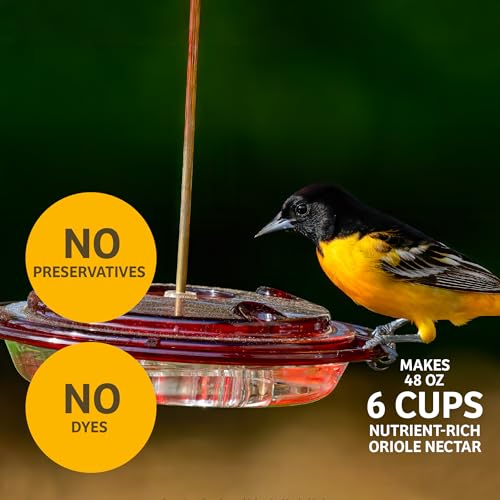 Birds Choice Hummingbird & Oriole Nectar | Pure & Healthy Sucrose Nectar for Birds | Easy Mix Concentrate | Natural Flower Sugar Alternative, No Additives | Safe for Feeders | 8 oz (4-Pack) | Sucrose-Based Easy Mix Concentrate, No Additives, Natural Flowe