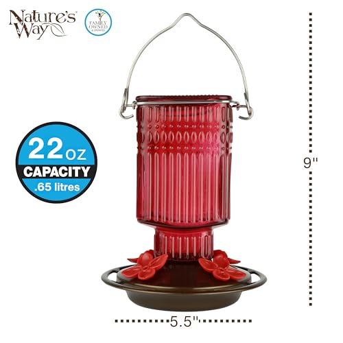 Nature’s Way Antique Red Dahlia Glass Gravity Hummingbird Feeder with Bronze Plastic Base, 22 Ounce Capacity, 4 Flexible Flower Ports and Perches, Bee-Resistant Design - color: Red