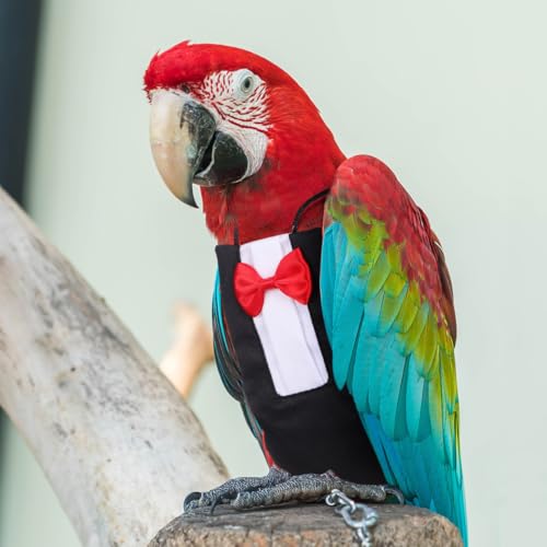 HANABASS Bird Diapers Parrot Flight Suit with Bowknot Washable Reusable Pet Bird Suit for Cockatiel Budgie Lovebirds Cheek Conure Lightweight Breathable Clothes 2 Pack - size: L