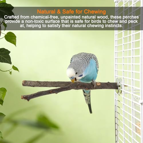 2 PCS Natural Wood Bird Perches for Cage, Multi-Branch Parrot Perch Stand with Fork & Platform, Cage Accessories for Parakeet Cockatiel Lovebirds Conures