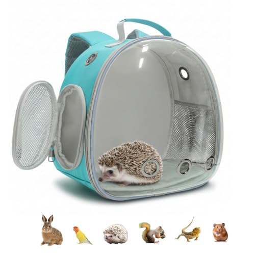 Small Animal Carrier Guinea Pig Backpack,Transparent, Breathable Backpack Carrier for Hedgehogs, Rabbits, Birds, Squirrels, Hamsters, Lizards Comfortable, Portable Travel Bag for Small Pets (Green) - color: Green