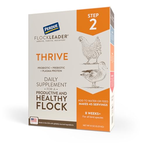 Thrive, Daily Poultry Supplement for Chickens 8+ Weeks Old, 8oz | A daily supplement for poultry 8+ weeks old with probiotics, prebiotics & plasma proteins for a producitve and healthy flock. - color: FlockLeader Thrive, size: 8 Ounce (Pack of 1)