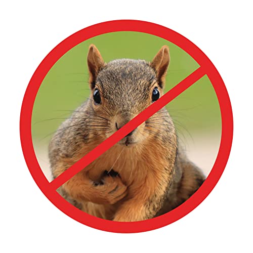 Scram,Squirrel by Slinky,Squirrel-Proof Bird Feeder Accessory that Guards Bird Seed,Kids Toys for Ages 5 Up by Just Play,(Pack of 2) - size: Small (Pack of 2)