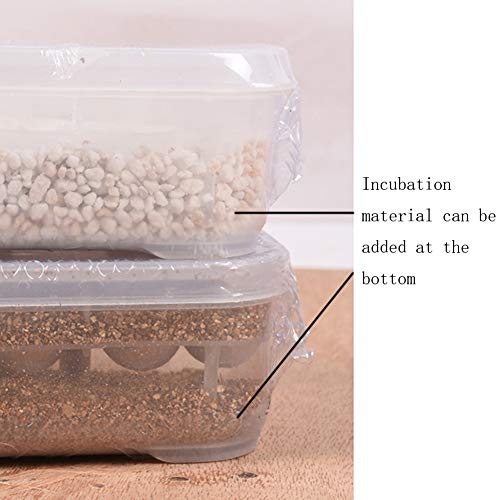 OMEM Reptile Breeding Box, Reptile Egg Incubators, Hatchery Box, for Hatching Gecko, Lizards, Lions Mane, Reptiles (Thermometer, Transparent Box) - size: No Thermometer