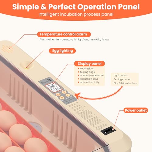 Egg Incubator with Auto Turning and Humidity Control, 36-60 Eggs Hatcher with External Drawer Water Tank, Adjustable Space for Chicken Duck Goose Quail Turkey Eggs, Orange