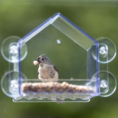 Nature’s Way Crystal Window Seed Feeder with 4 Secure Suction Cup Mount, Clear 2-Cup Capacity Hanging Bird Feeder for Close-Up Viewing, 6.5"