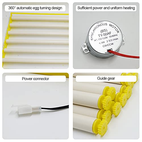 HBtree Automatic Multifunction Incubator Egg Tray Turning Hatcher for Chickens/Ducks/Birds/Poultry（13 Tubes） - color: 13 Tubes