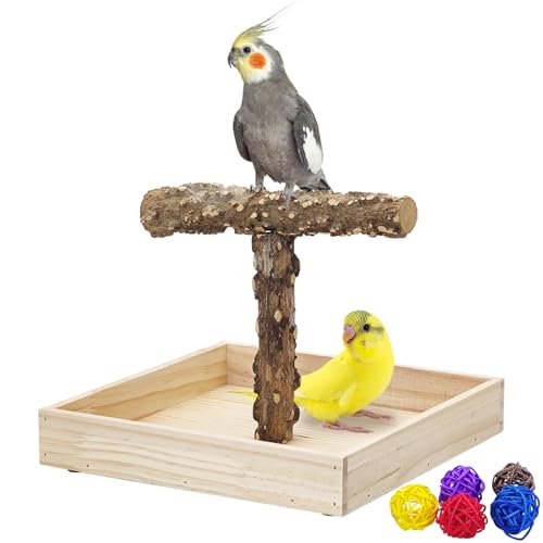 BNOSDM Portable Bird Perch Stand with Potty Tray, Natural Wood Tabletop Training Gym Parrot Playground Toy for Budgies, Cockatiels, Lovebirds,Conures - color: T-Shaped Bird Stand