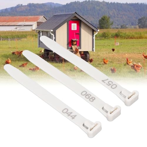 100Pcs Numbered Poultry Leg Rings 1-100 Identification Tags Reusable Bands for Chickens Ducks Geese Pigeons(White) - color: White
