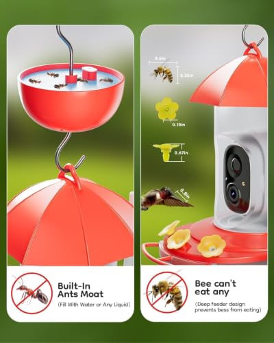 Solar Hummingbird Feeder with Camera for Outdoors, 2K Smart AI | 2K live video smart bird camera, AI species identification, Ant & bee proof, 3 feeding ports, Ideal gift for bird lovers