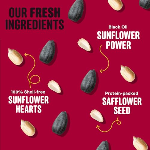 Cool Birds Cardinal & Crew Wild Bird Seed, 10 lb | Black Oil Sunflower, Sunflower Hearts & Safflower Blend for Cardinals, Grosbeaks & Chickadees – Bird Food for Outside Feeders