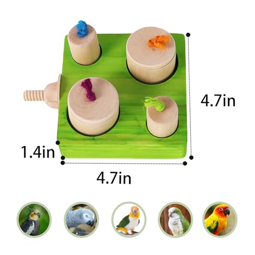 Birdie Puzzle Feeder - Interactive Foraging Toy for Parrots, Parakeets, Cockatiels, Conures | Mental Enrichment & Stimulation Game to Prevent Boredom (Green) - color: green