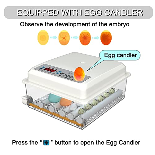 Incubators for Hatching Eggs Fahrenheit 12-16 Eggs Incubator with Automatic Egg Turning and Egg Candler Incubator for Chicken Quail Duck Pigeon Eggs Poultry Incubators