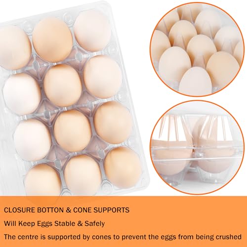 50 Pack 12 Count Plastic Egg Cartons - Bulk Cheap Clear Reusable Egg Containers for Chicken Eggs, Dozen Egg Storage Solutions. (50) - size: 3x4，50Pack