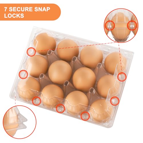 100 Pack Clear Plastic Egg Cartons, Reusable Stackable Egg Containers for Farm, Market & Fridge Storage, 3×4 Grid