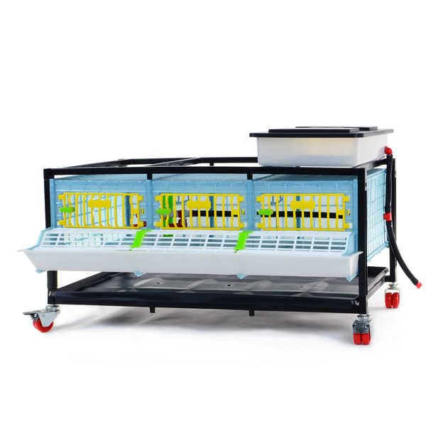 Small Grow Out Pens: 1 Layer Stackable Tier Design, 9.5 Inch Headspace, Pheasants, Partridge, Quail Grow Out Pens, Power-Washable, Durable, Automatic Drinkers, ABS Plastic - by Cimuka Hatching Time - style: 3 Section, 1 Layer