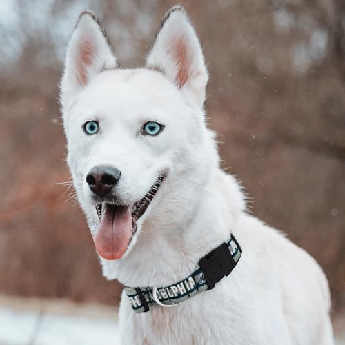 Pets First NFL Philadelphia Eagles Licensed PET COLLAR, Extra Large - Heavy-Duty, Strong, and Durable Dog Collar. Available in 31 Football Teams and 4 Sizes - color: Philadelphia Eagles, size: Extra Large