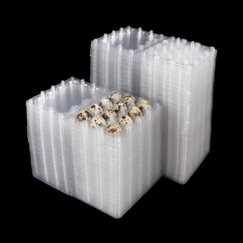 200 Pack Quail Egg Cartons, Clear Plastic Quail Egg Trays, Holds up to 12 Quail Eggs Securely - Your Ultimate Small Eggs Carton Holders for Bulk Storage and Display - size: 12 Grids